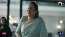 Shaidai - Episode 17 - 11th June 2026